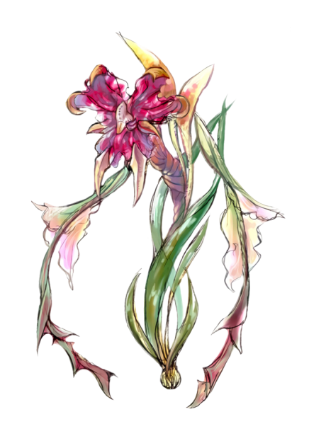 File:Alraune Transparent.png