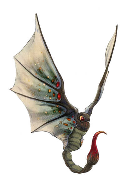 File:Shawra Transparent.png